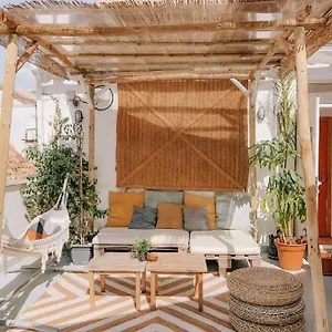 https://the-urban-jungle-hostel.hotelsinnerja.org